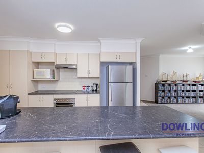 72 Coachwood Drive, Medowie
