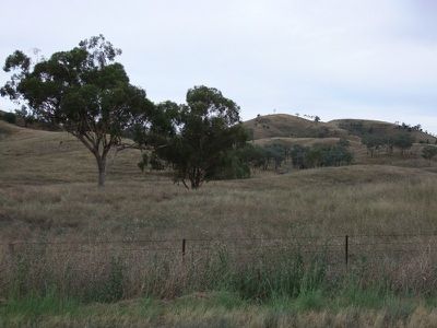 Lot 11 Halls Creek Road, Manilla