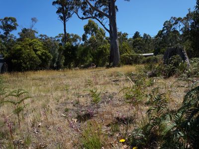 39 Vincent Avenue, Verona Sands