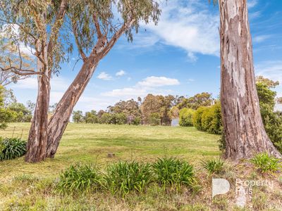 35 Mills Road, Harcourt