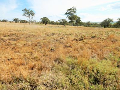 Lot 132, Hall Road, Merriwa