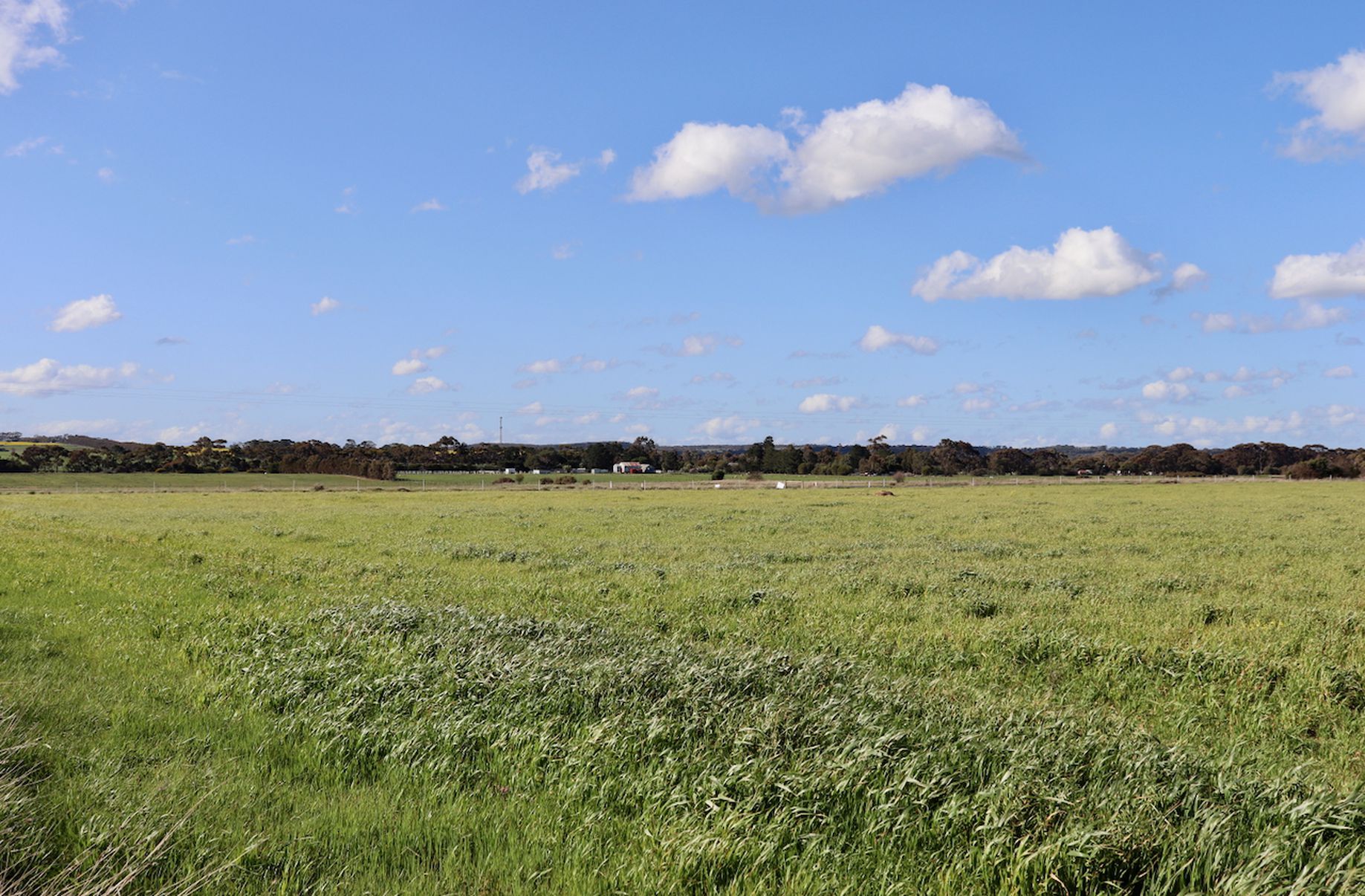 Lot 1, 2, 3 &, 4 COLAC-BALLARAT ROAD, Rokewood