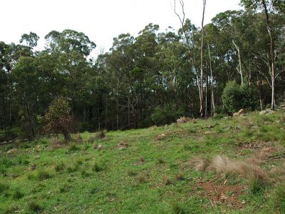L241 Florabunda Lane, Nethercote