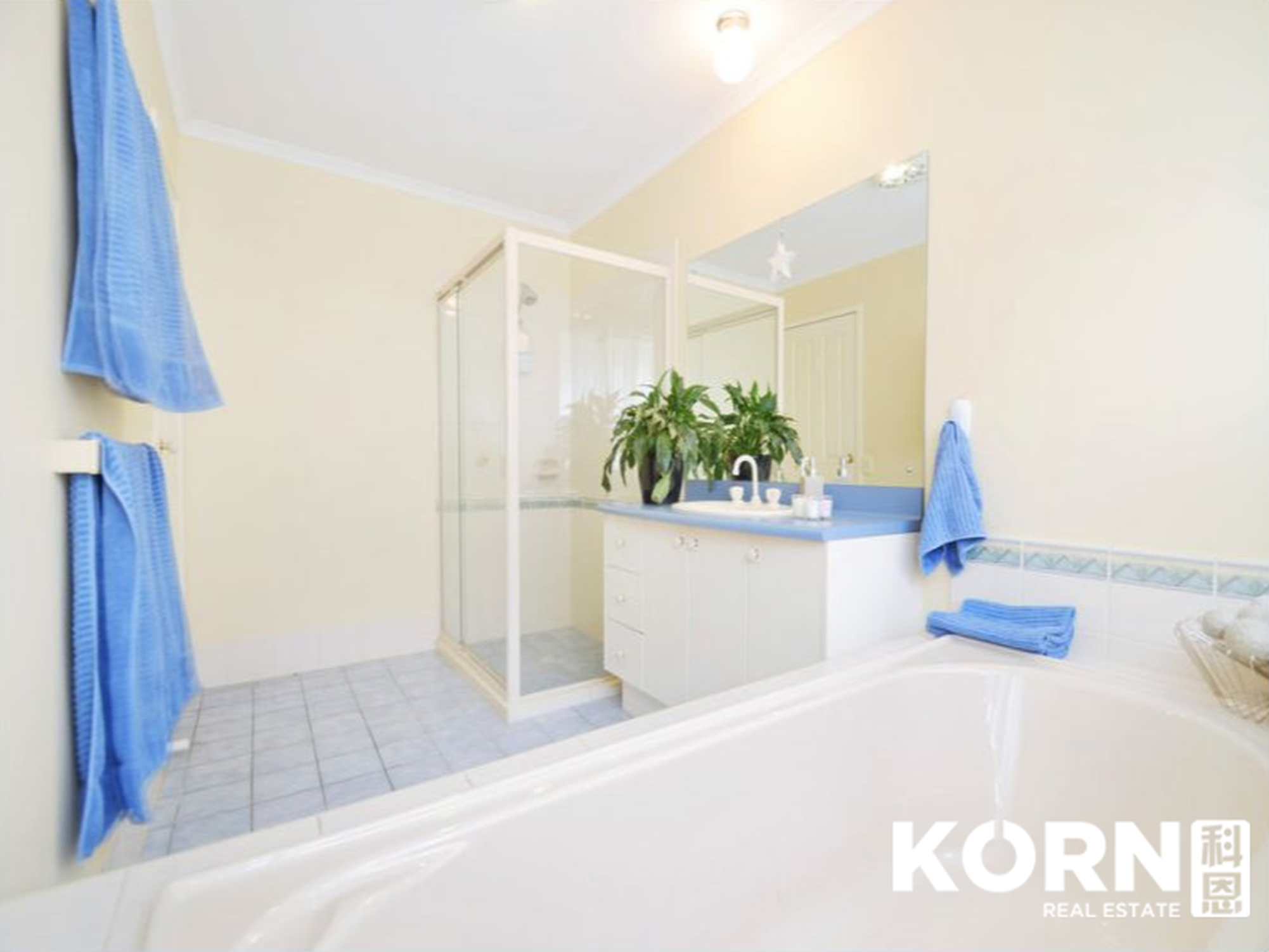 8 Rockingham Drive, Lightsview