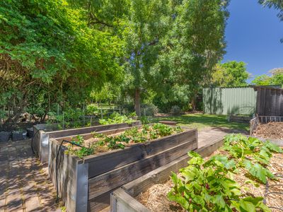 5 Dalton Street, Dubbo