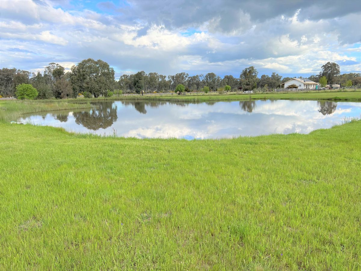 737 Lake Mokoan Road, Chesney Vale