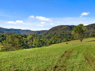 1242 Tuntable Creek Road, Nimbin