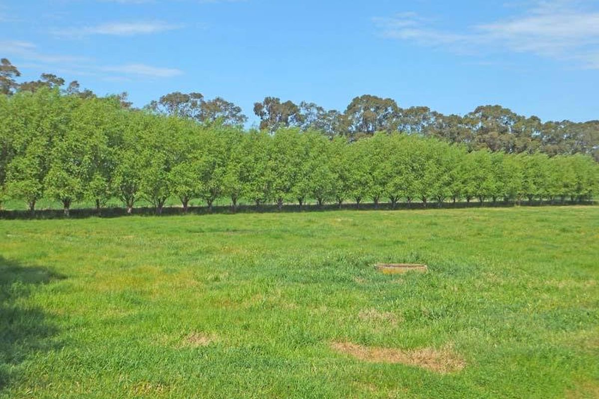 1757 Finlay Road, Tongala