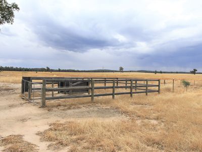 Mount Camel-Graytown Road, Moormbool West