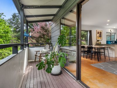 69 Murphy Street, Toi Toi