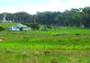 1413 Banjo Patterson Way, Cumnock