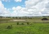 1321 Peabody Road, Molong