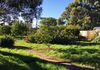 589 Cadia Road, Orange