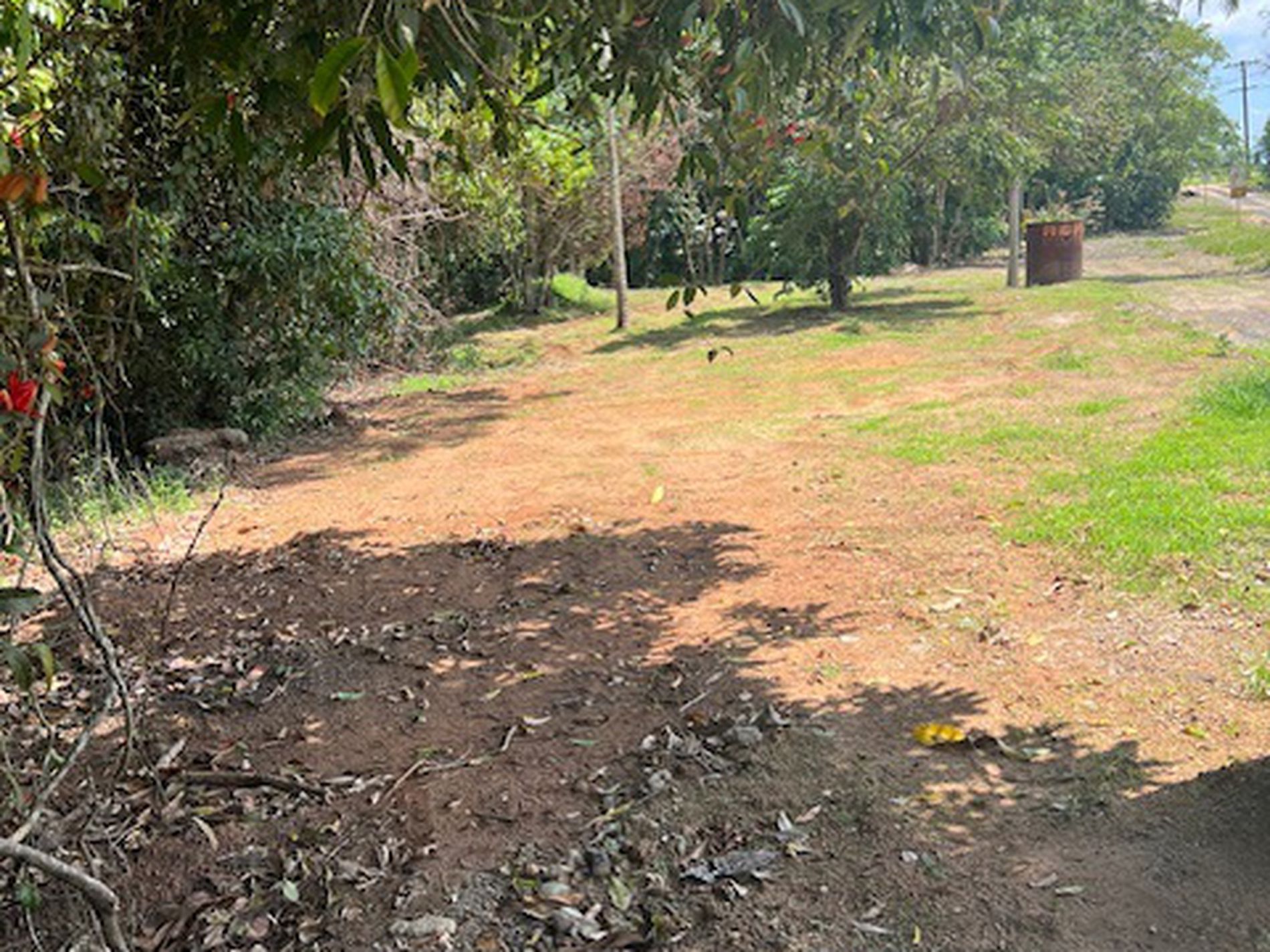 264 NEWMAN ROAD, Sandy Pocket
