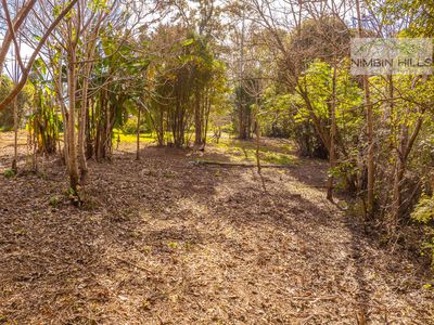 124 Gungas Road, Nimbin