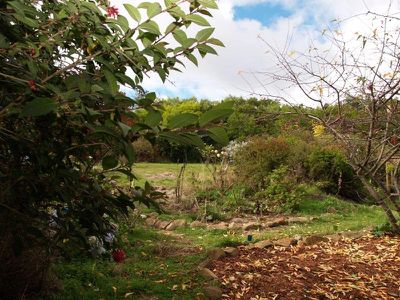 25 Milford Road, Kaoota
