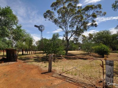 49 Buninyong Road, Dubbo