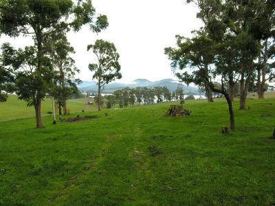 Brown Road, Lower Wattle Grove