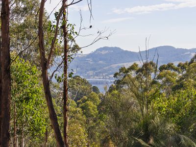 41 Cawthorns Road, Wattle Grove