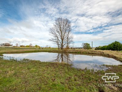 5 Sunnyview Drive, Glen Innes