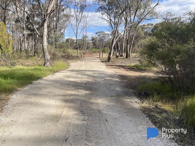 CA 37H Olympic Parade, Maiden Gully
