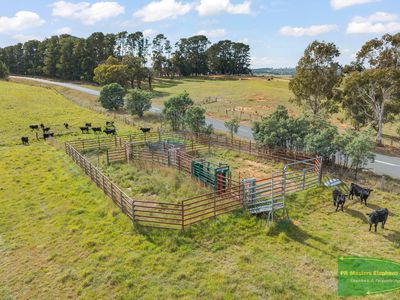 4616 Trunkey Road, Arkell