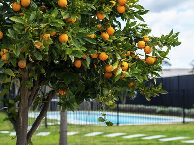 21-23 Araluen Drive, Sale