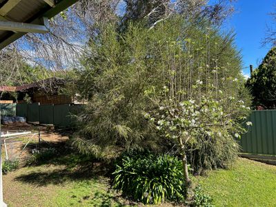 23 Kiewa Valley Highway, Tawonga
