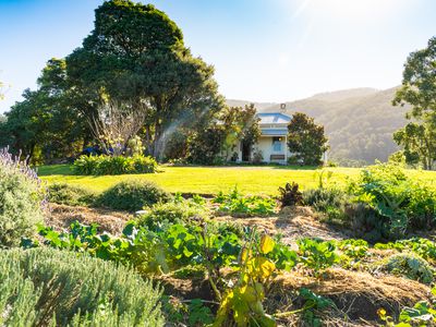 9052 Princes Highway, Tilba Tilba