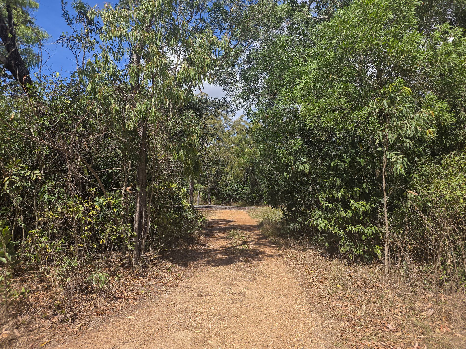 67 Wilton Access Road, Cooktown