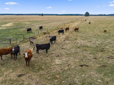 424 Sebastopol Springs Road, Millicent