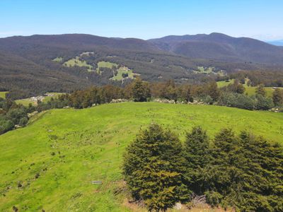 Lot 1 (51 Acres) Coal Mine Road, Kaoota