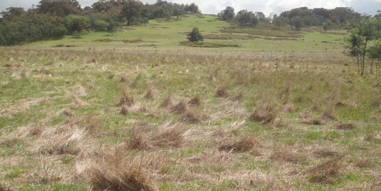 Harrys Creek Road, Strathbogie