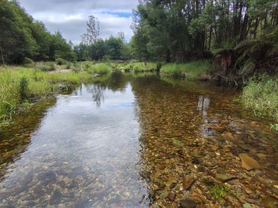 115 Gulph Creek Road, Nerrigundah