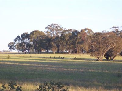 140 Channel Inlet Road, Murchison