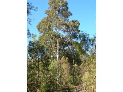 650E 650E Woodburn Road, Milton