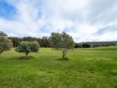 343 Dingo Flat Road, Hazelvale