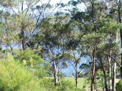 Ra Airds Road, Wattle Grove