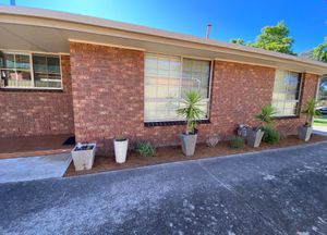 1 / 359 Wilson Street, East Albury