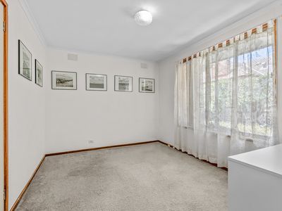 2 / 24 Suffolk Road, Surrey Hills