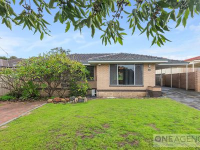 49 Ravenswood Drive, Nollamara