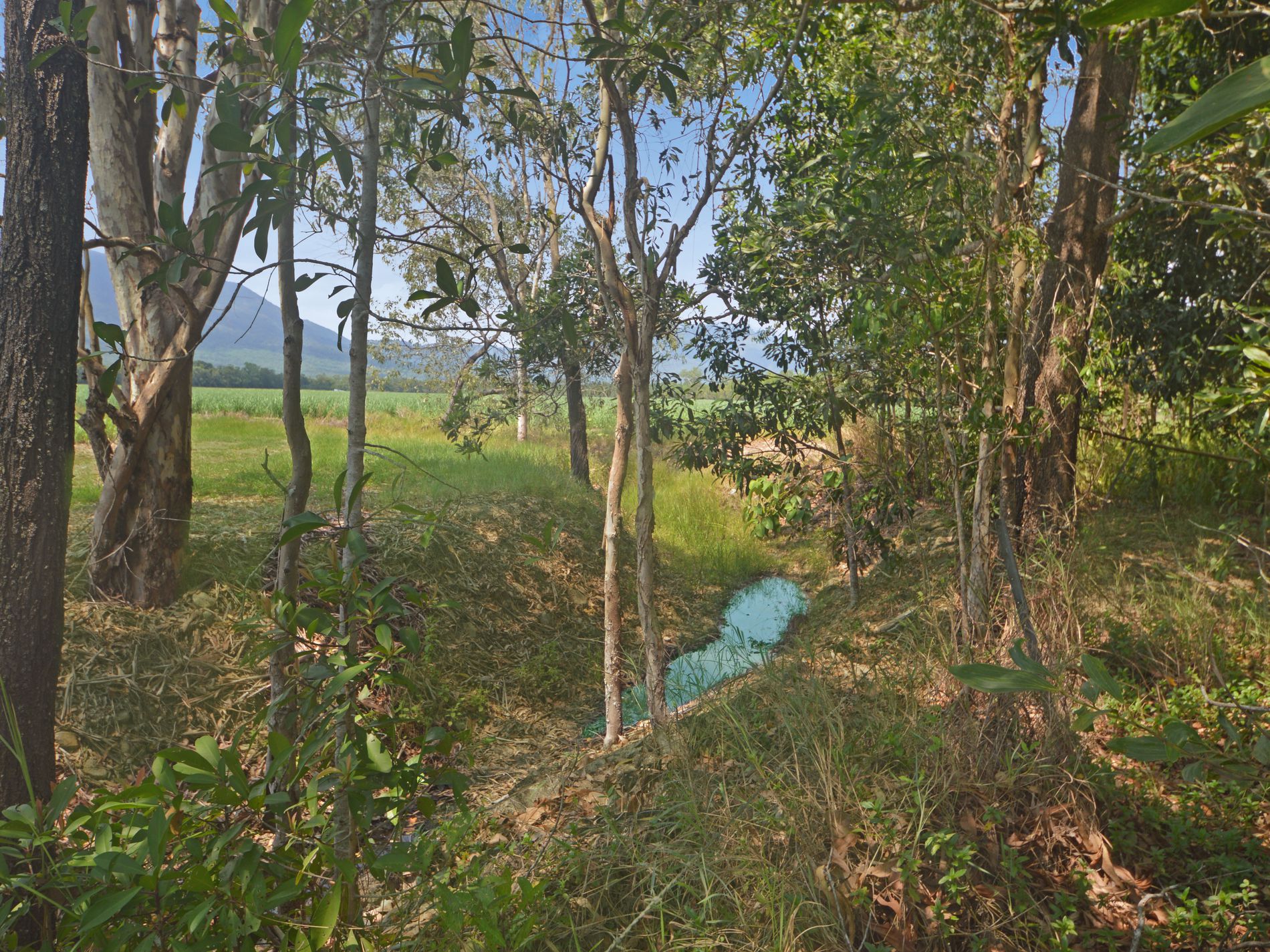 689 Ellerbeck Road, Kennedy