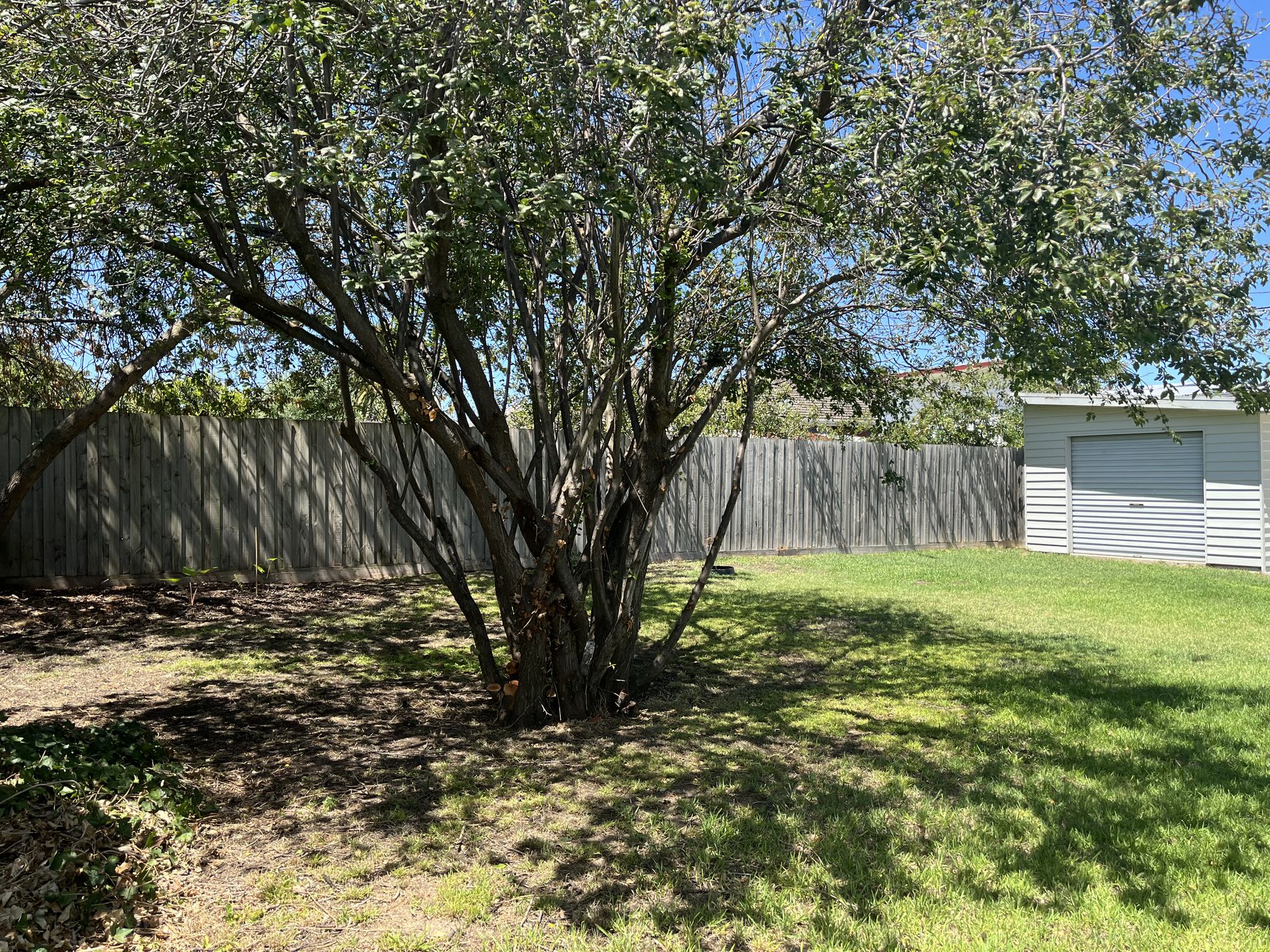 18 Autumn Street, Belmont