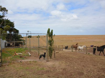 193 Swaffers Road, Mount Schank