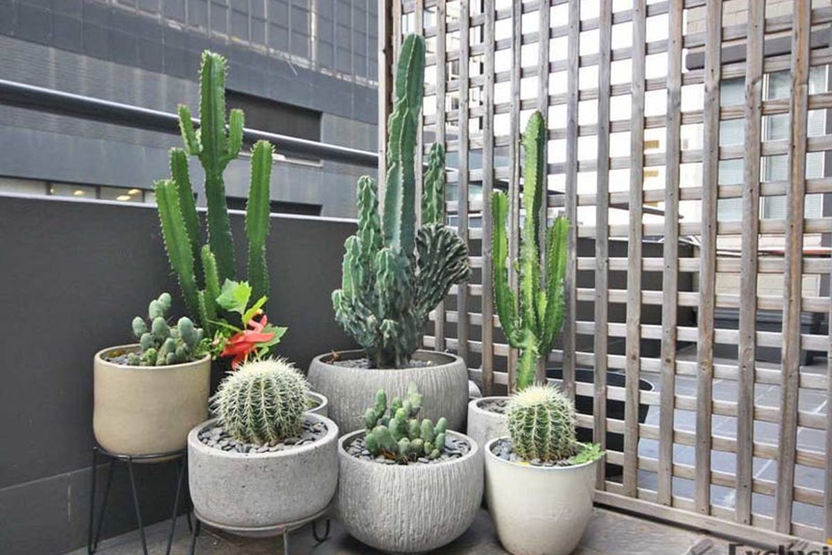 27 / 13 Waine Street, Surry Hills