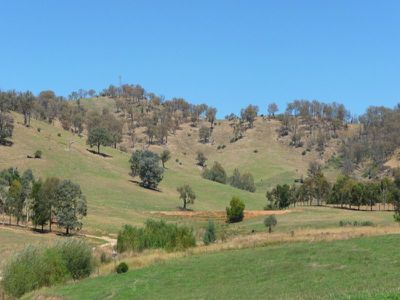 Crosthwaite Lane, Kergunyah