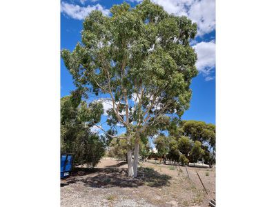 22 Barr Park Road, Cohuna
