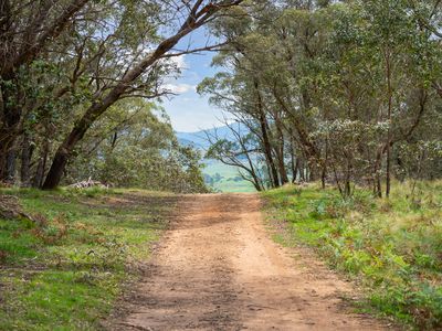 79 Mackeys Lane, Wyanbene