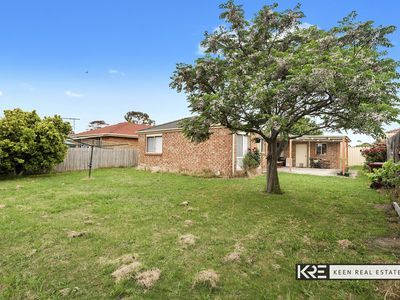 38 Bluegum Way, Hampton Park