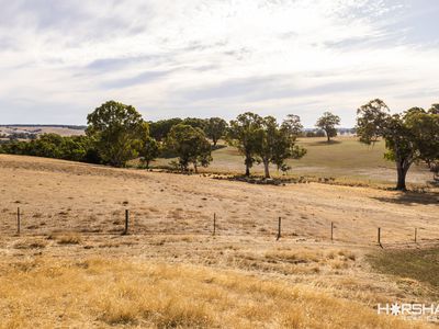 1305 Mooree-Culla Road, Culla